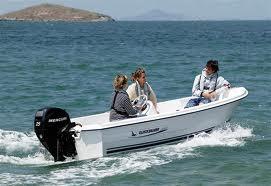 Quicksilver 440 fish