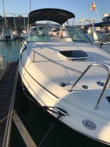 Bateau Sea Ray Sundance 255