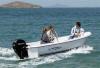 Quicksilver 440 fish