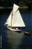 SEABIRD