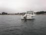 SEA ROVER 500